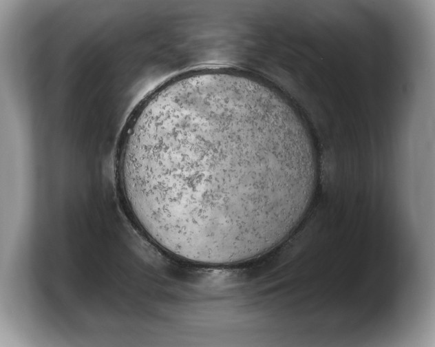 X0000103901412200809261540