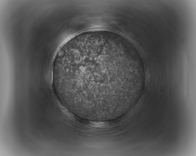 X0000103901413200809261540