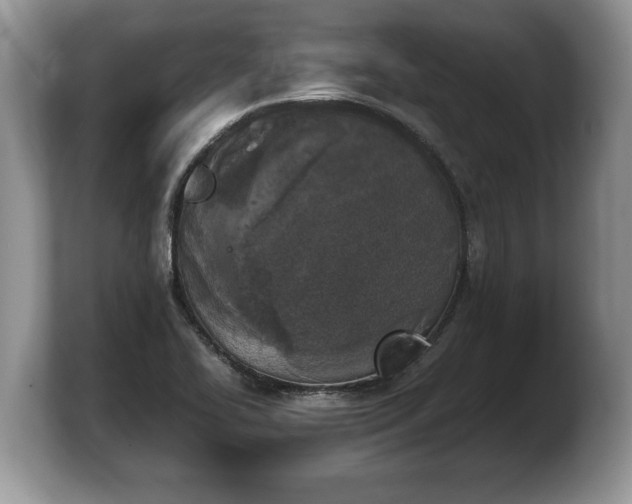 X0000103901414200809261540