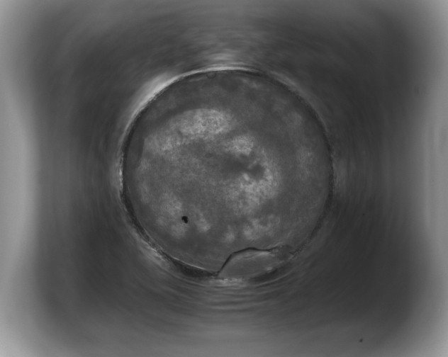 X0000103901415200809261540