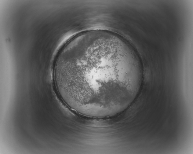 X0000103901416200809261540