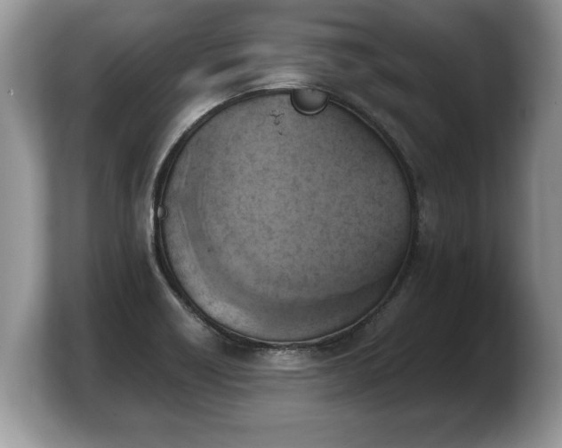 X0000103901418200809261540