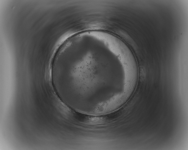 X0000103901419200809261540