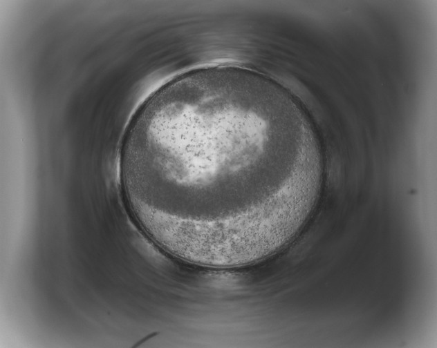 X0000103901420200809261540