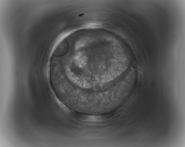X0000103901421200809261540