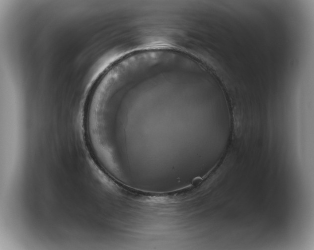 X0000103901422200809261540
