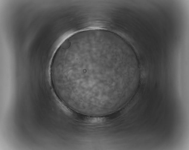 X0000103901423200809261540