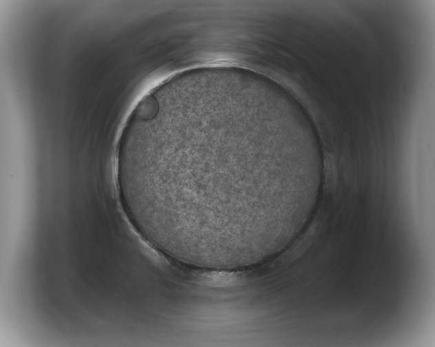 X0000103901424200809261540