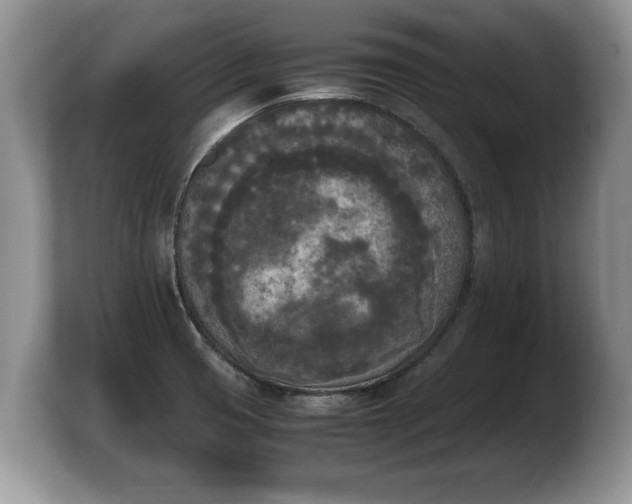X0000103901425200809261540