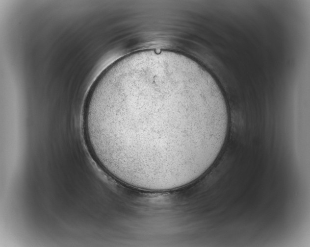 X0000103901426200809261540