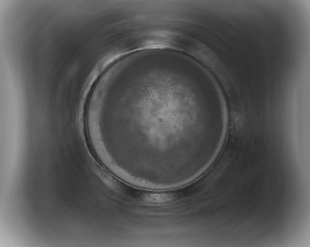 X0000103901427200809261540