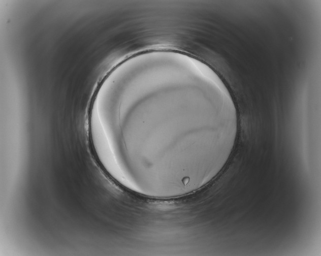 X0000103901428200809261540