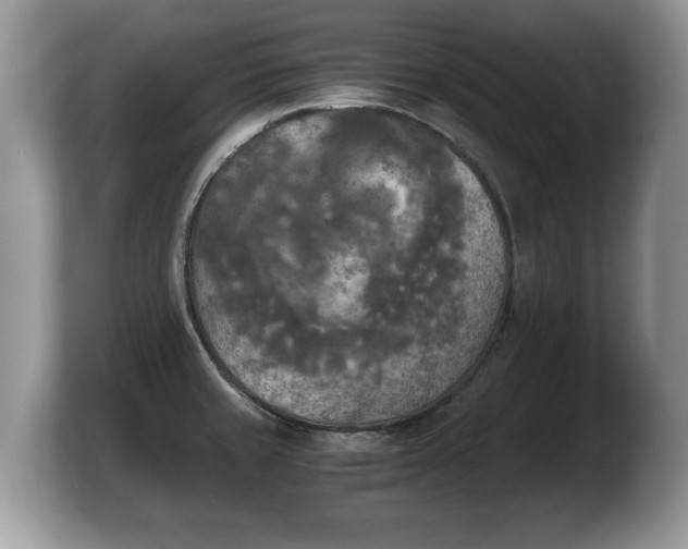 X0000103901429200809261540