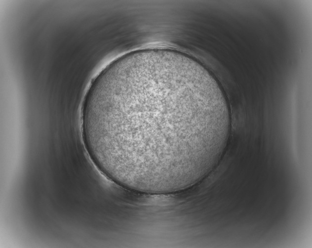 X0000103901430200809261540
