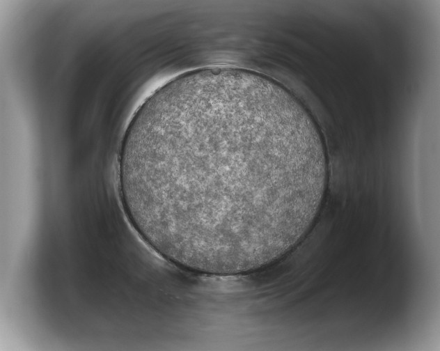 X0000103901432200809261540