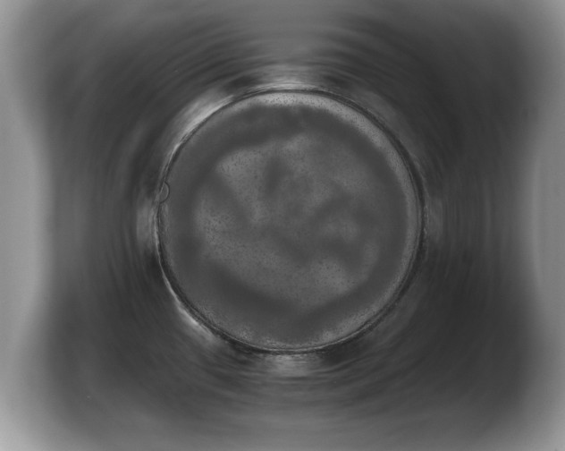 X0000103901433200809261540