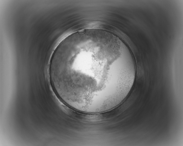 X0000103901434200809261540