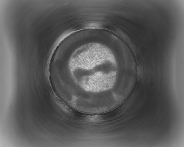X0000103901435200809261540