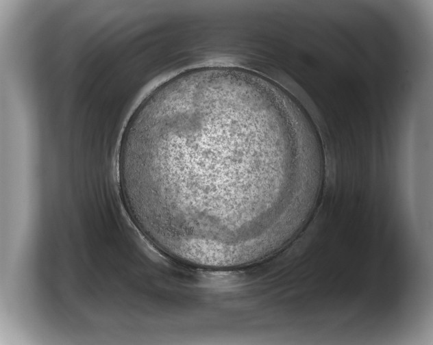 X0000103901436200809261540