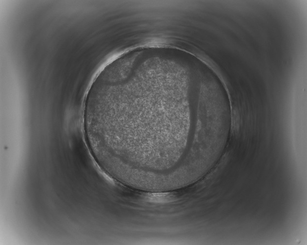 X0000103901437200809261541