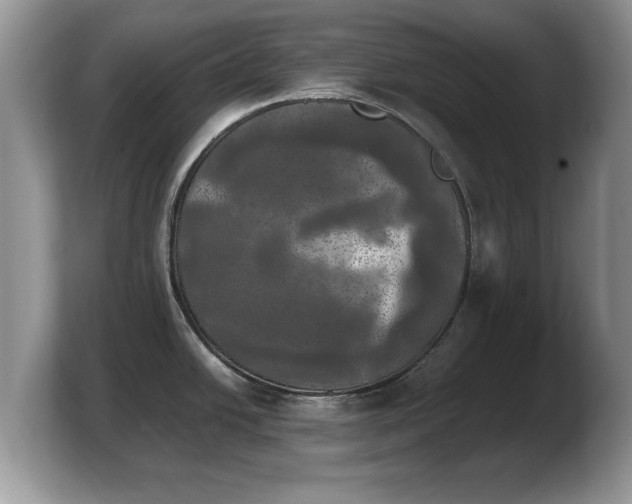 X0000103901438200809261541