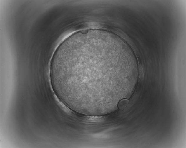 X0000103901439200809261541