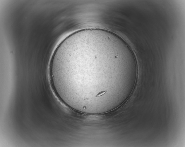 X0000103901440200809261541