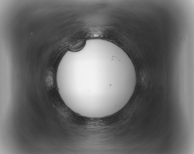 X0000103901442200809261540