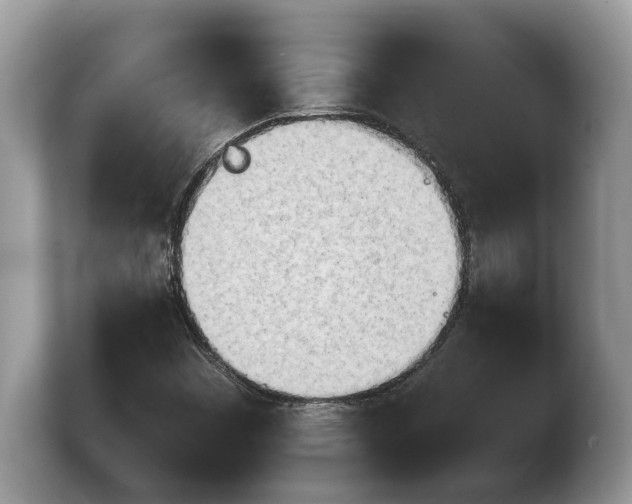 X0000103901449200809261540