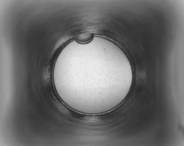 X0000103901450200809261540