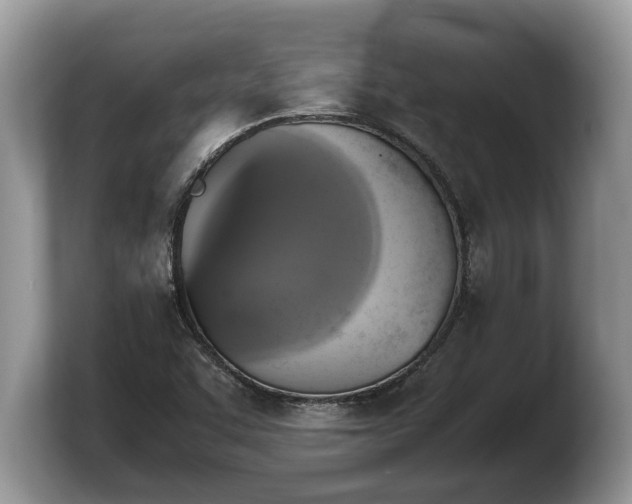 X0000103901455200809261540