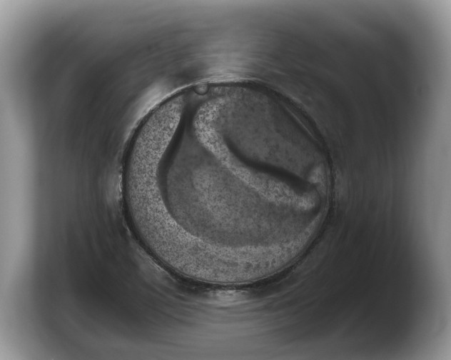X0000103901459200809261540