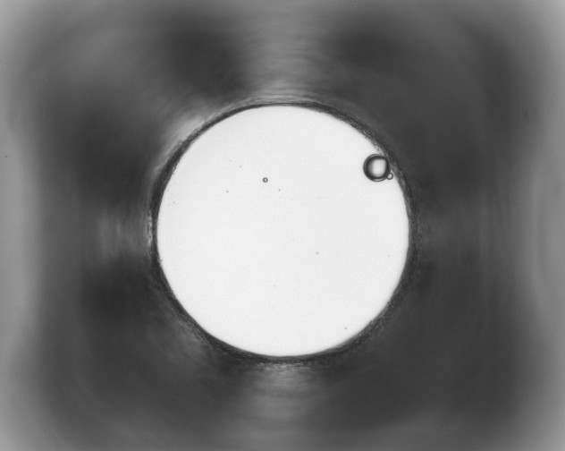 X0000103901461200809261540