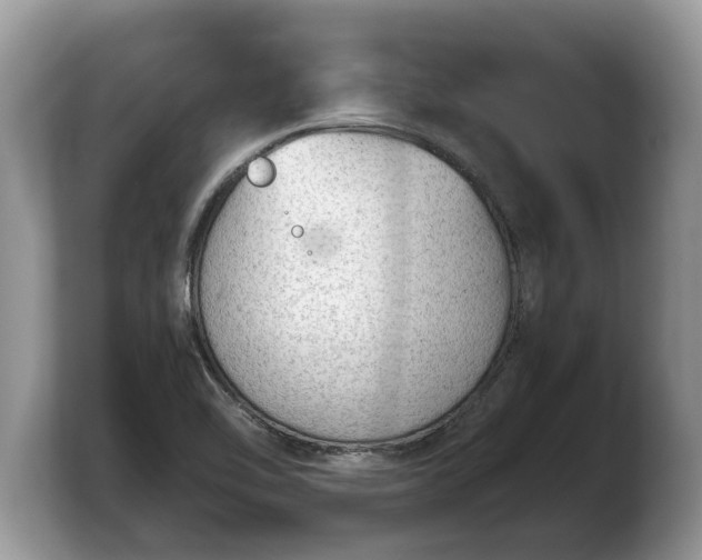 X0000103901462200809261540
