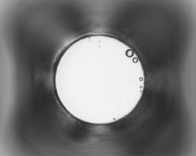 X0000103901464200809261540