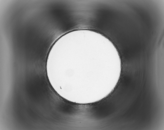 X0000103901465200809261540