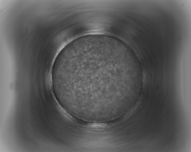 X0000103901466200809261540