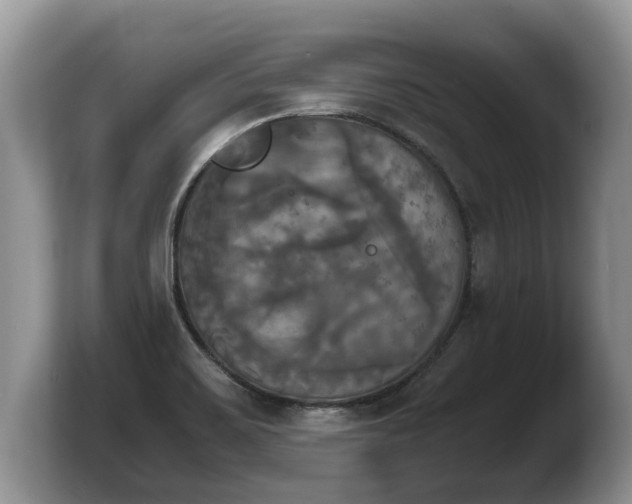 X0000103901467200809261540