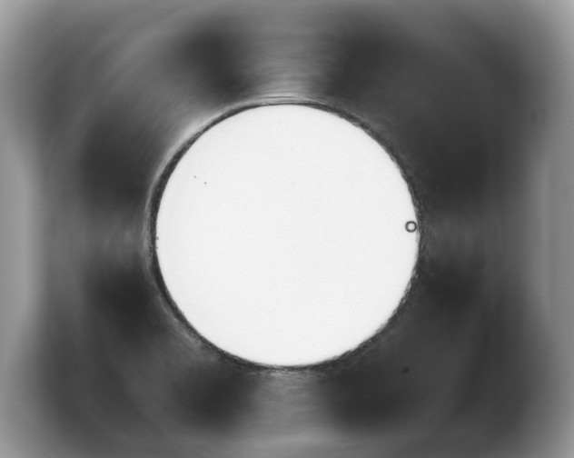 X0000103901469200809261540