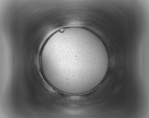 X0000103901470200809261540