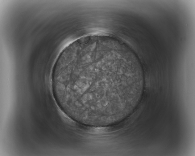 X0000103901471200809261539