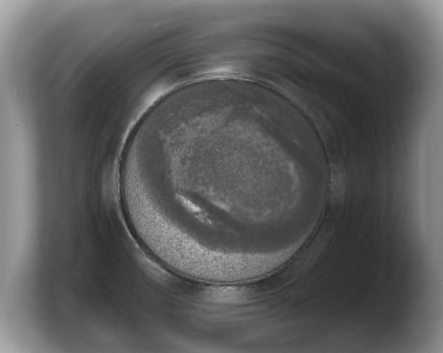 X0000103901474200809261539