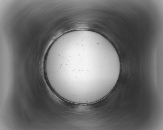 X0000103901475200809261539