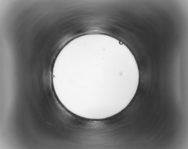 X0000103901476200809261539