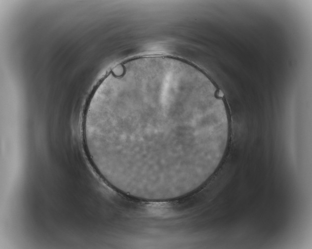 X0000103901477200809261539