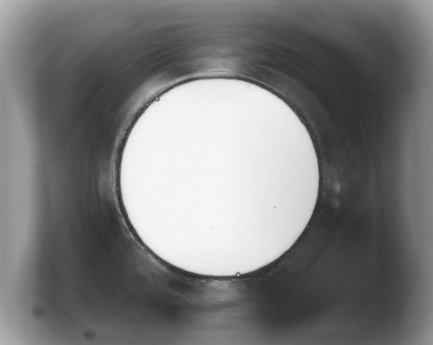 X0000103901480200809261539