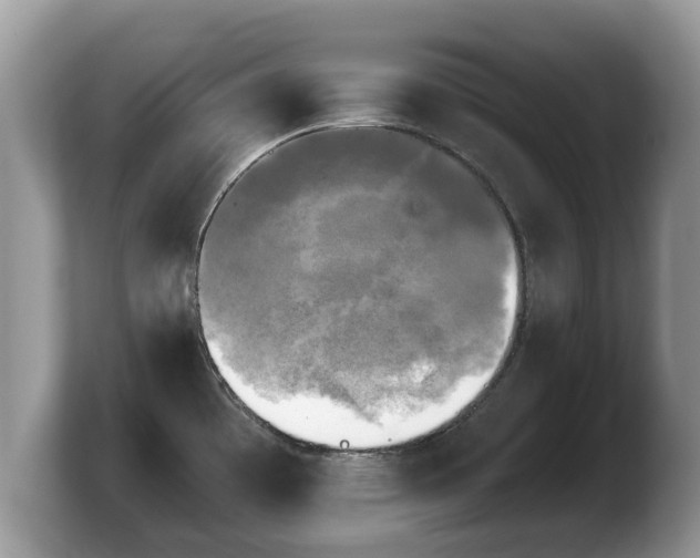 X0000103901481200809261539