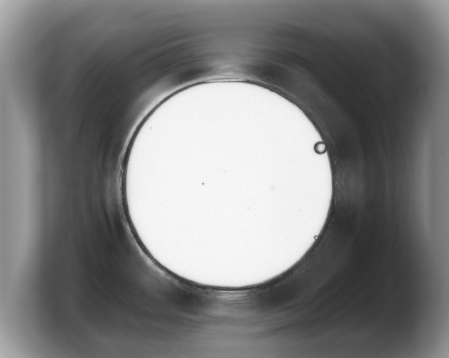 X0000103901484200809261539