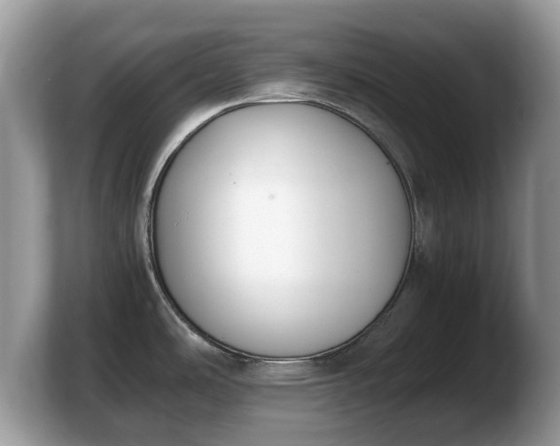 X0000103901486200809261539