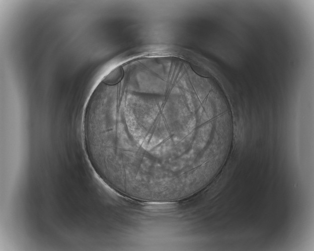 X0000103901487200809261539
